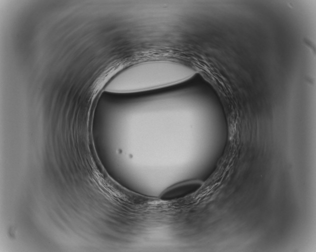 X0000101120052200806261055