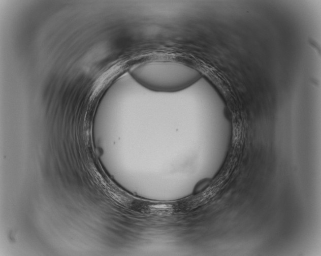 X0000101120053200806261055