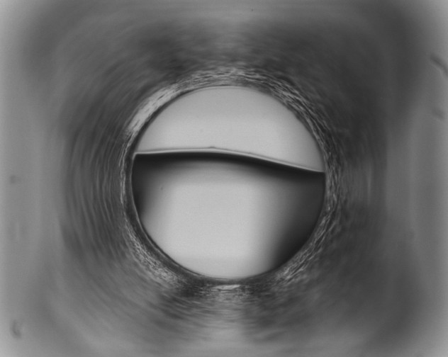 X0000101120054200806261055