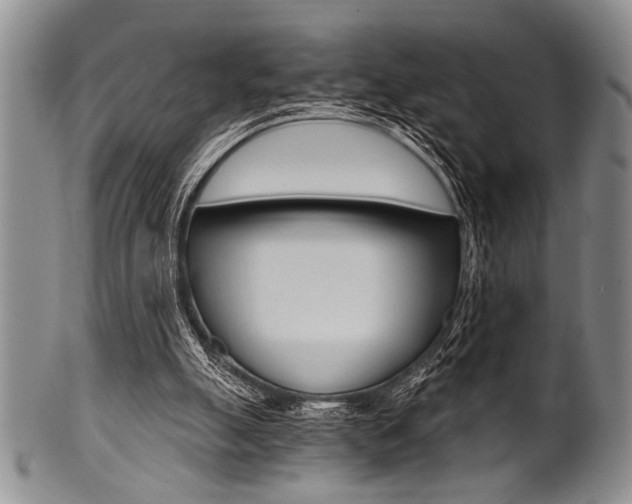 X0000101120055200806261055