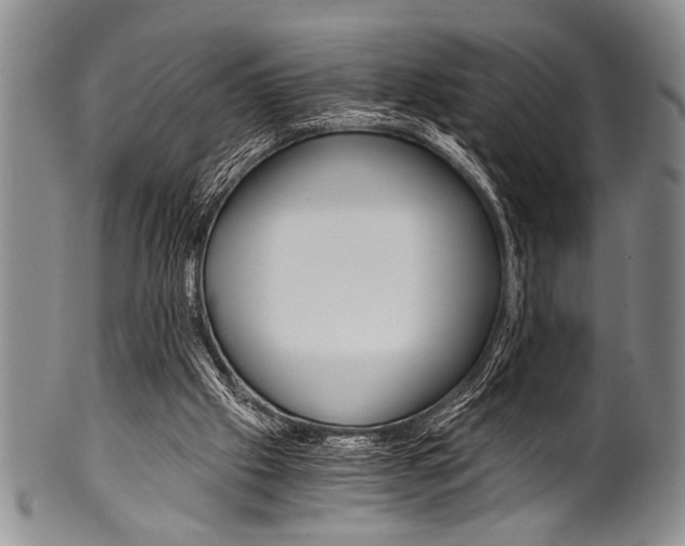 X0000101120057200806261055