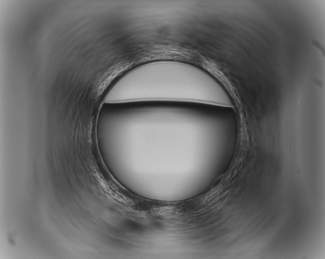 X0000101120058200806261055