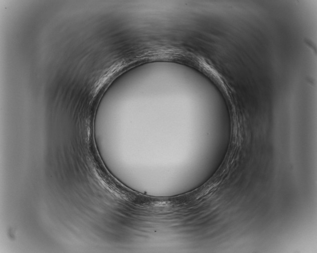 X0000101120059200806261055