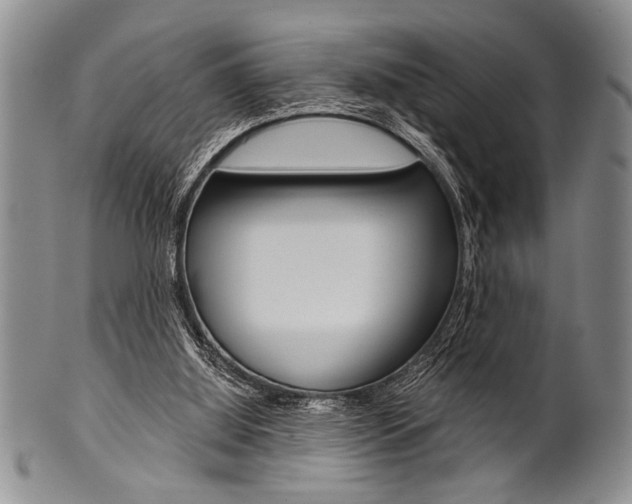 X0000101120060200806261055