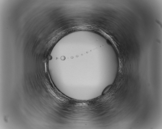 X0000101120061200806261055