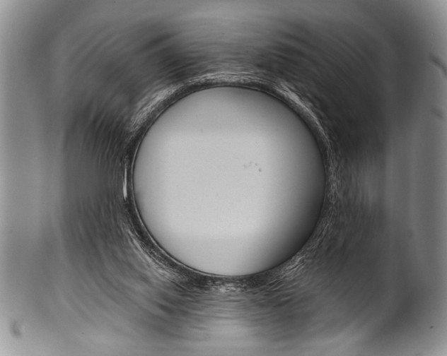 X0000101120062200806261055