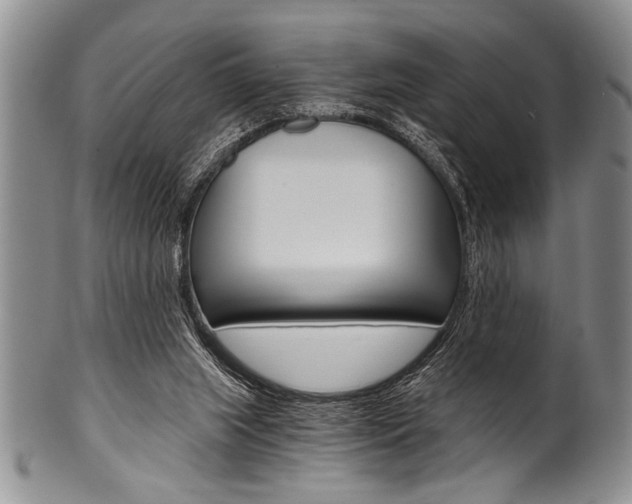X0000101120063200806261055