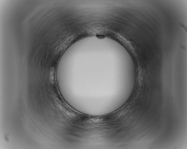 X0000101120065200806261055