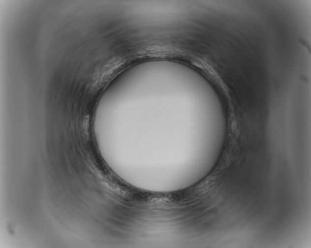 X0000101120066200806261055