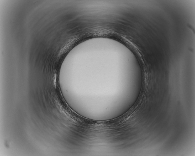 X0000101120067200806261055