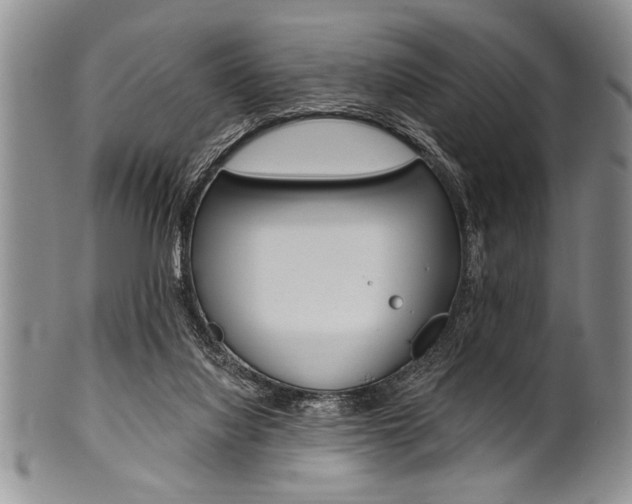 X0000101120068200806261055