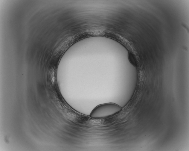 X0000101120069200806261055
