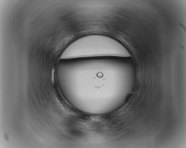 X0000101120070200806261055