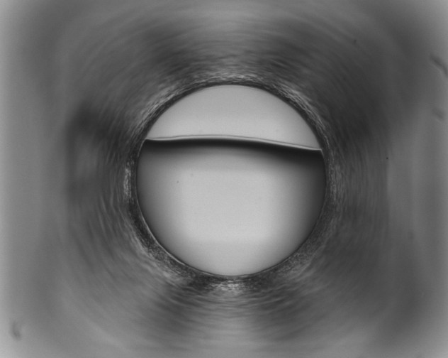 X0000101120071200806261055