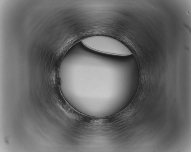 X0000101120072200806261055