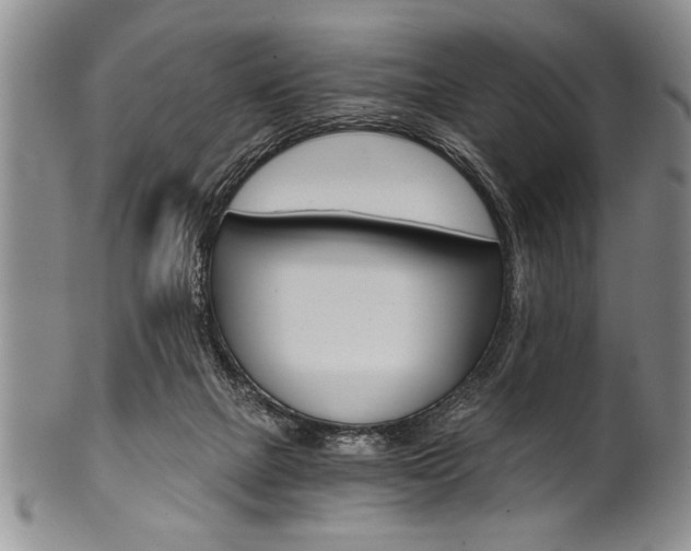 X0000101120073200806261055