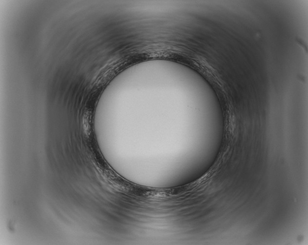 X0000101120074200806261055