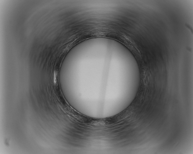 X0000101120075200806261055