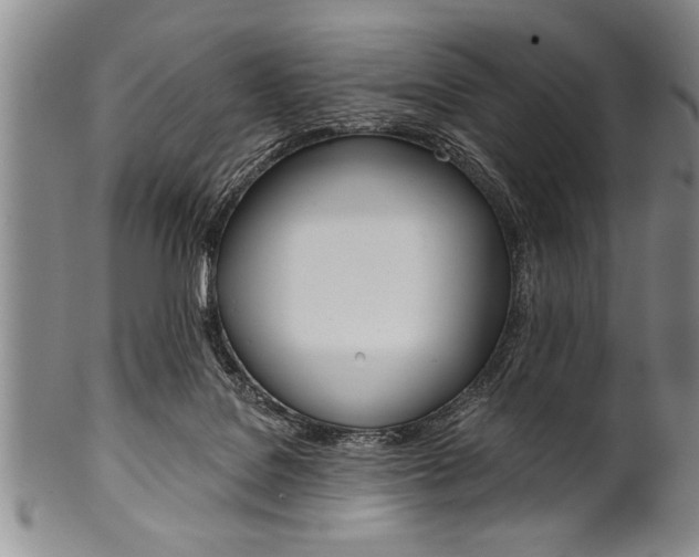 X0000101120076200806261055