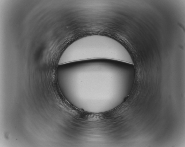 X0000101120077200806261055