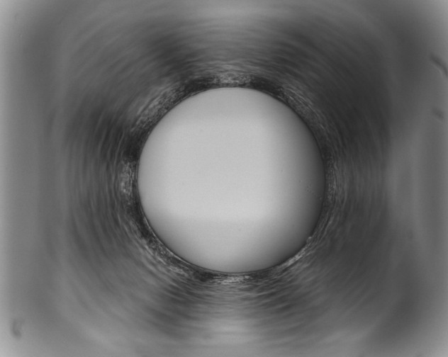X0000101120078200806261055