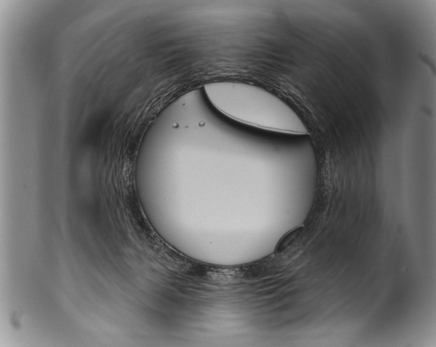 X0000101120079200806261055