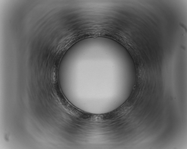 X0000101120080200806261055