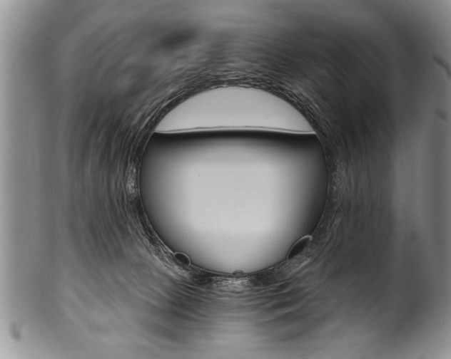 X0000101120081200806261055