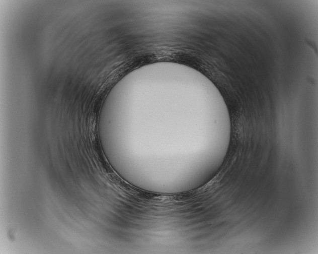 X0000101120082200806261055