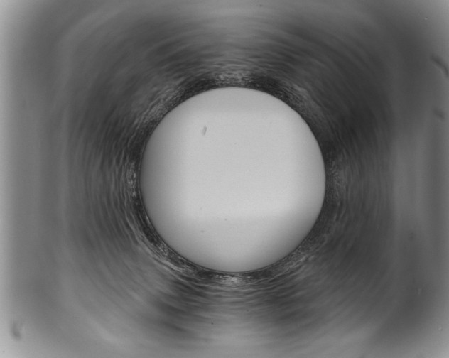 X0000101120083200806261055