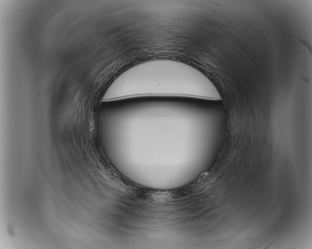 X0000101120085200806261055