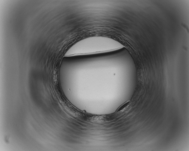 X0000101120086200806261055
