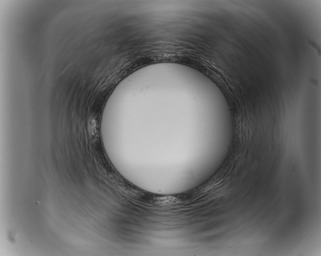 X0000101120087200806261055