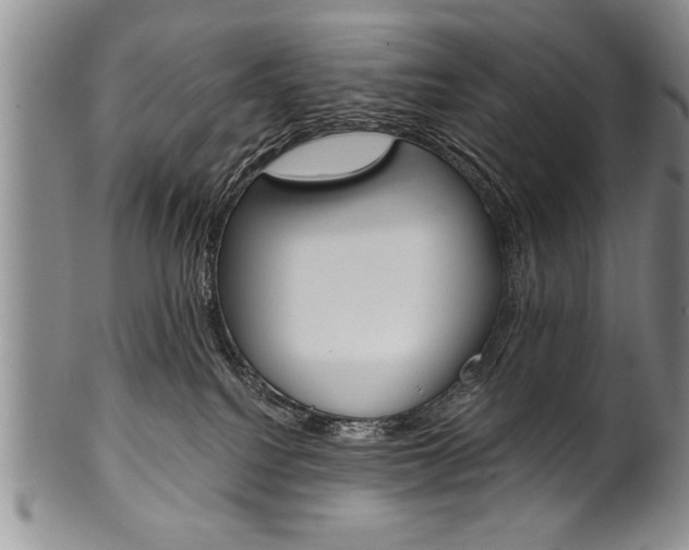 X0000101120088200806261055