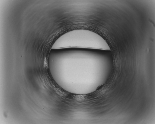 X0000101120089200806261055