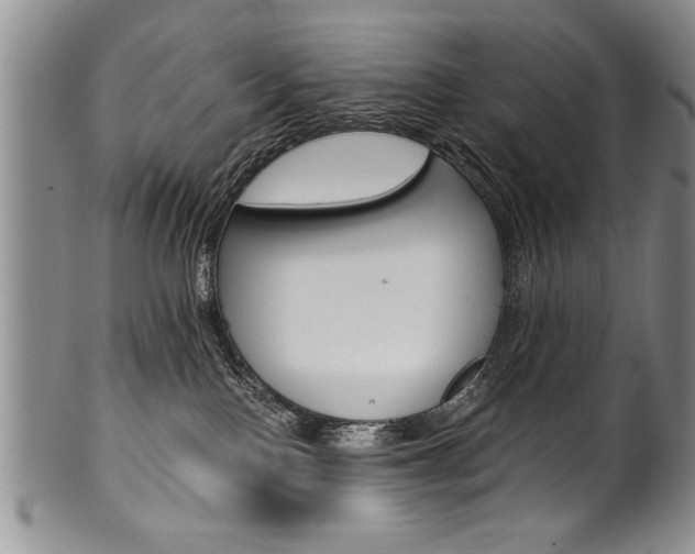 X0000101120090200806261055