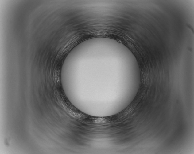 X0000101120091200806261055