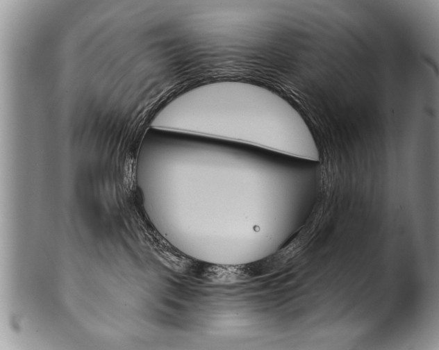 X0000101120093200806261056