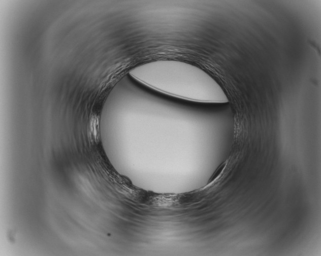 X0000101120094200806261056