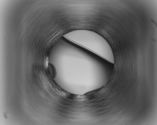 X0000101120095200806261056