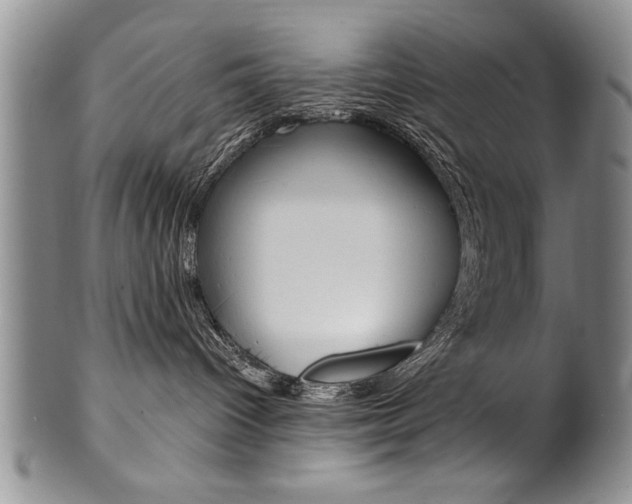 X0000101120096200806261056