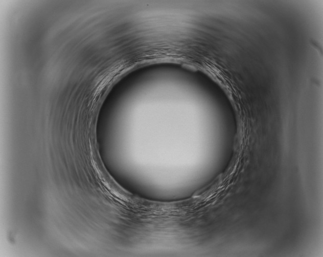X0000101120097200806261055