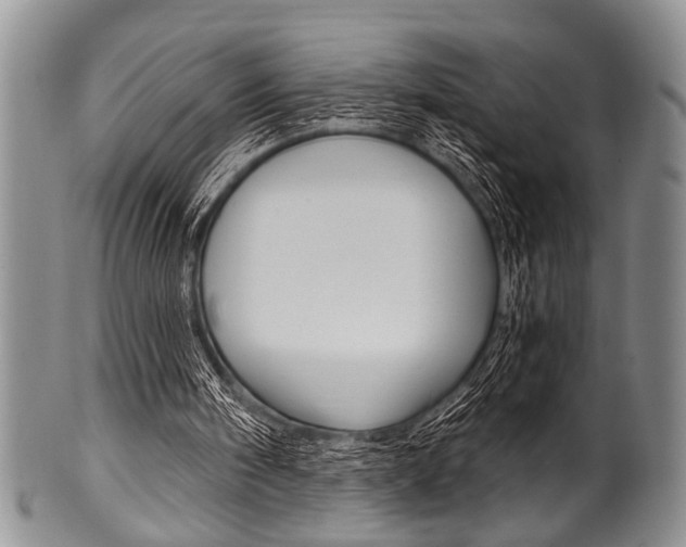 X0000101120098200806261055