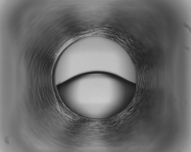X0000101120100200806261055