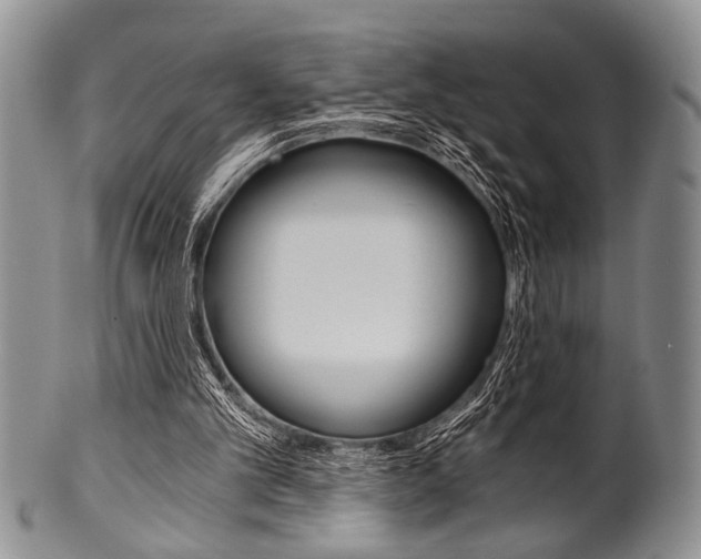 X0000101120101200806261055