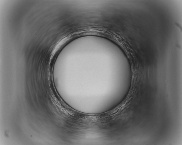 X0000101120102200806261055