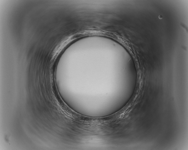 X0000101120103200806261055