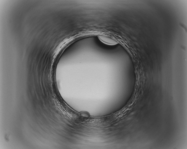 X0000101120104200806261055