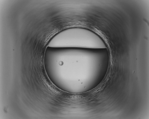 X0000101120105200806261055
