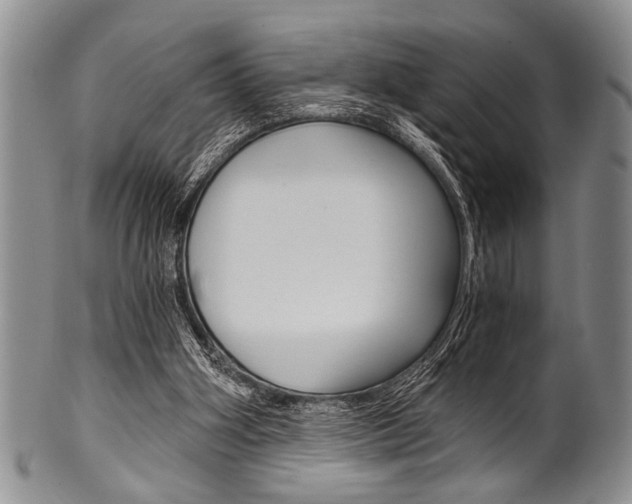 X0000101120106200806261055